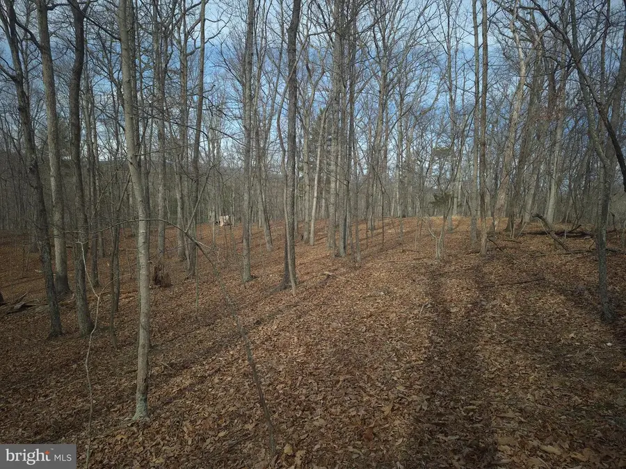 Lot 17 Hodges Ln, Winchester, VA 22603 - #3