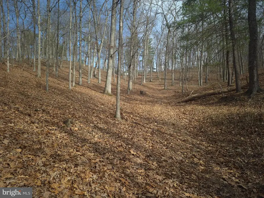 Lot 16 Hodges Ln, Winchester, VA 22603 - #2