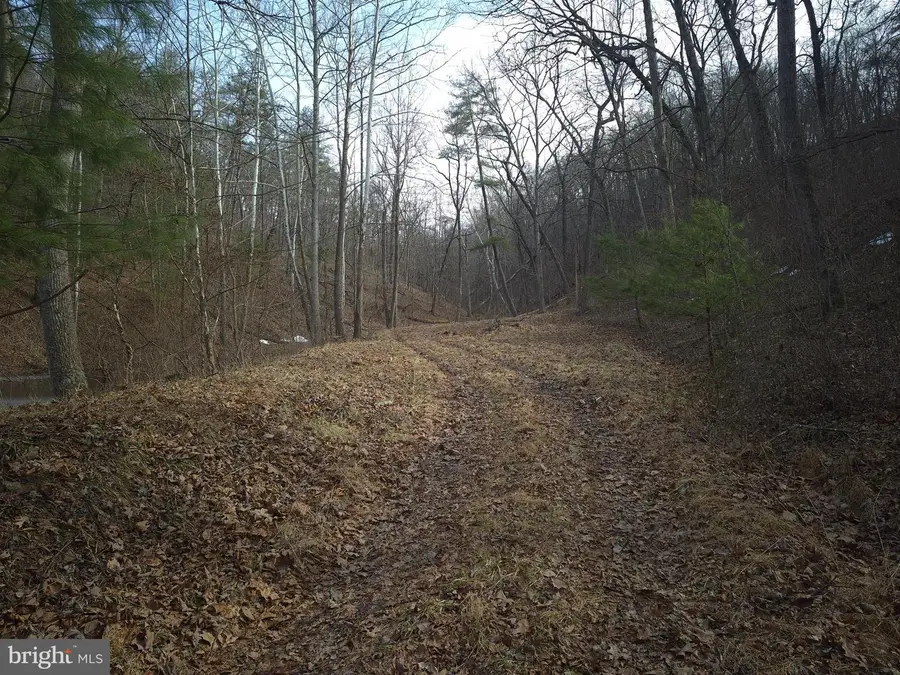 196 Hodges Ln, Winchester, VA 22603 - #3