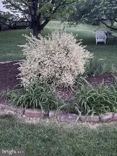 119 Foxglove Dr, Winchester, VA 22602 - #2