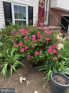 119 Foxglove Dr, Winchester, VA 22602 - #3