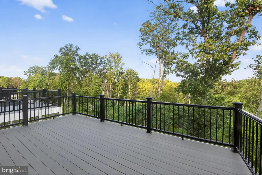 153 Leather Flower Dr, South River, VA 22630 - #2