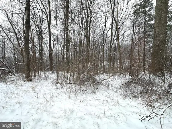 Lot 4 Duwamish Trl, WINCHESTER, VA 22602