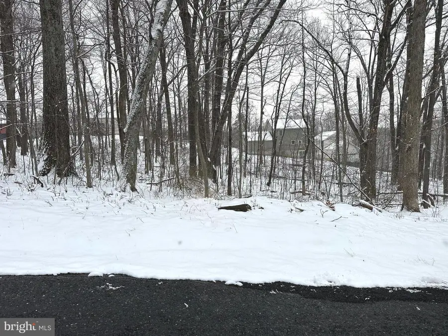 Lot 68 Killbuck Trl, Winchester, VA 22602 - #3