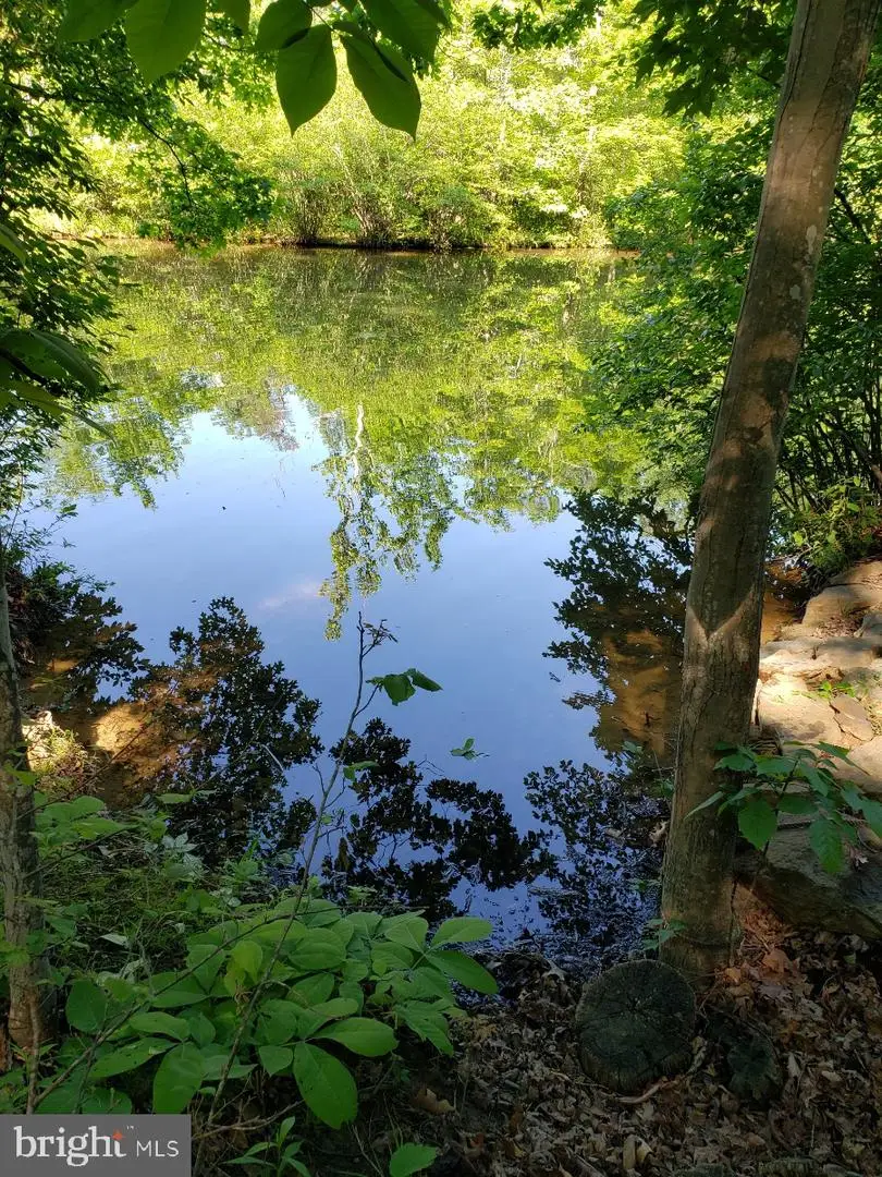 0 Lakeview, Cross Junction, VA 22625 - #1