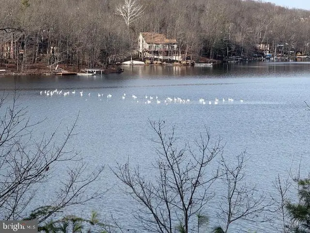 Southwood Dr-lake Front, Cross Junction, VA 22625 - #1