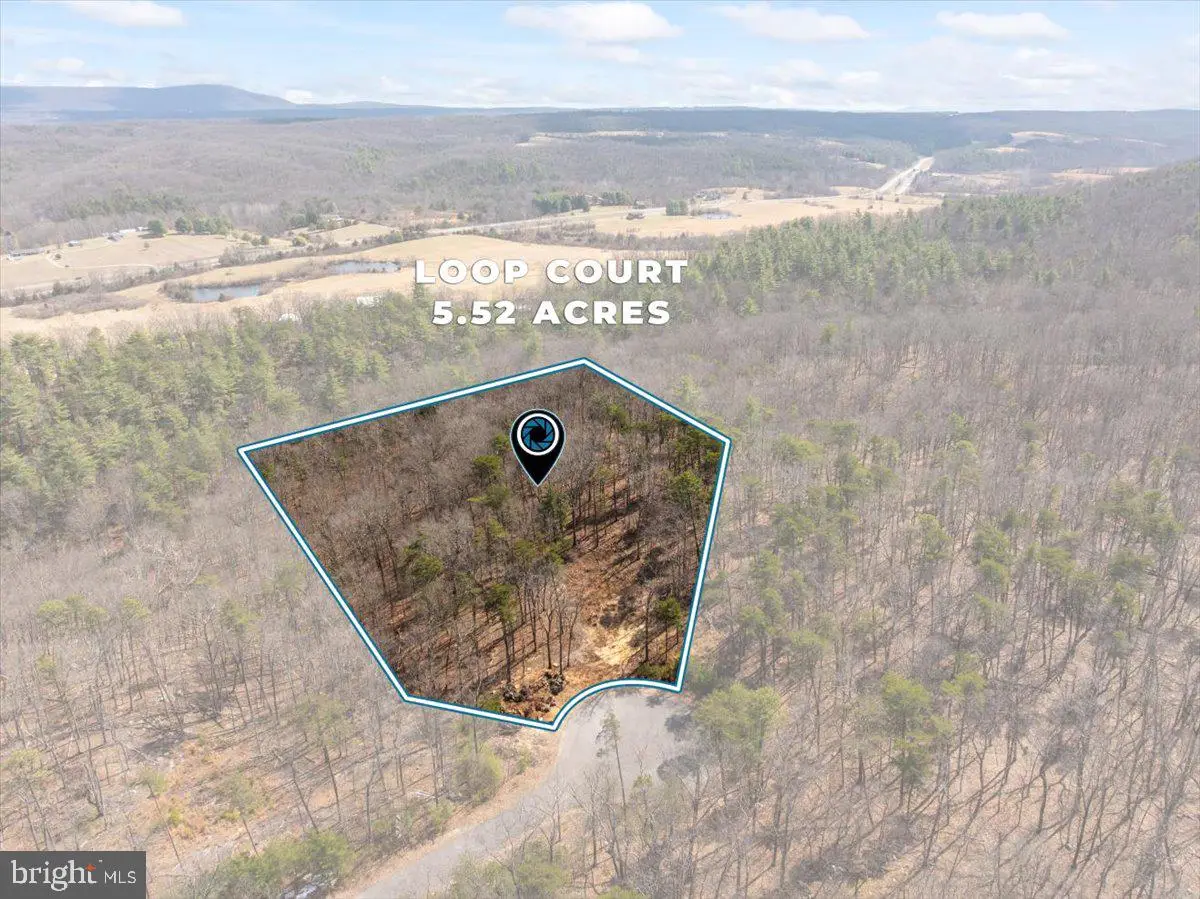 Lot 18 - Loop Court, Cross Junction, VA 22625 - #1