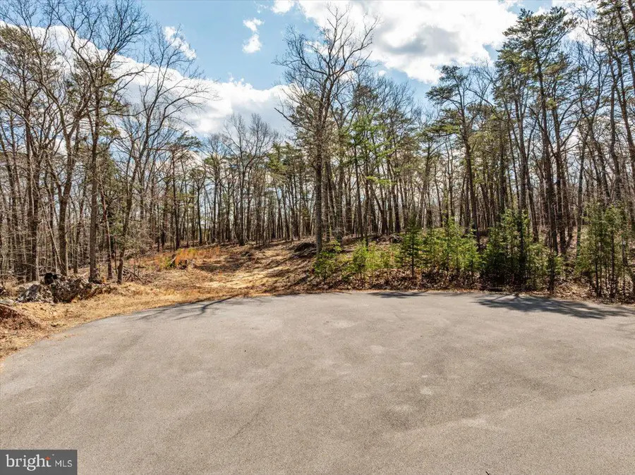 Lot 18 - Loop Court, Cross Junction, VA 22625 - #2
