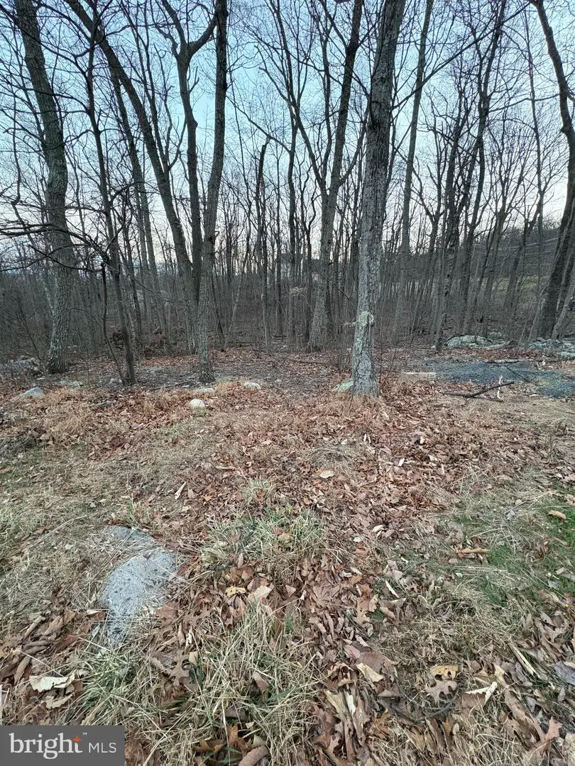 Lot 245 Inca Trl, Winchester, VA 22602 - #1
