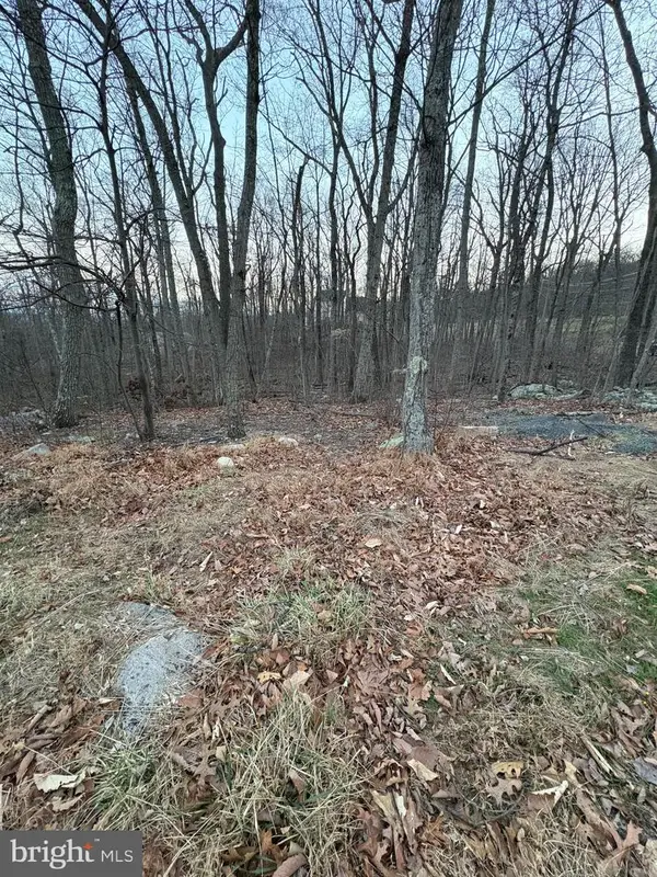 Lot 245 Inca Trl, WINCHESTER, VA 22602