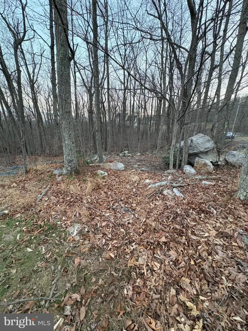 Lot 245 Inca Trl, Winchester, VA 22602 - #3
