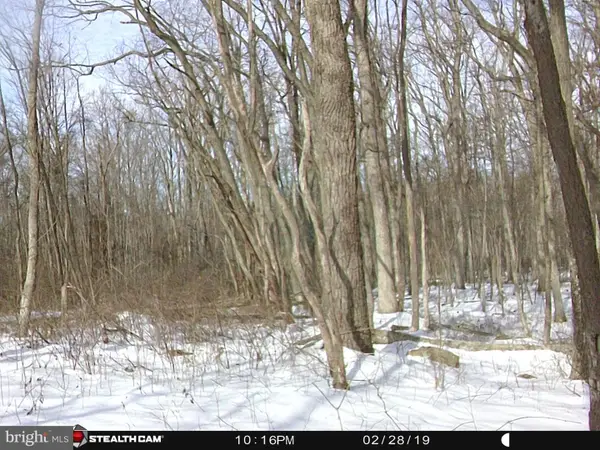 Hunters Rd, FREDERICK, VA 22656