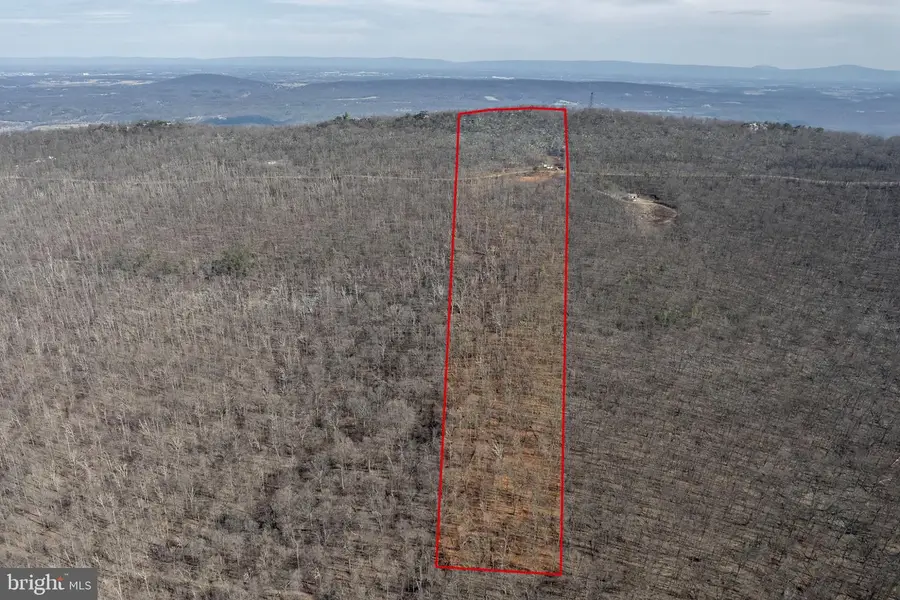 951 Bobcat Trl, Winchester, VA 22602 - #3