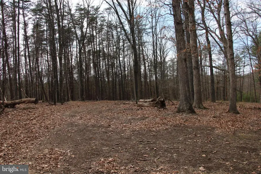 Trojan Ln, Winchester, VA 22603 - #3