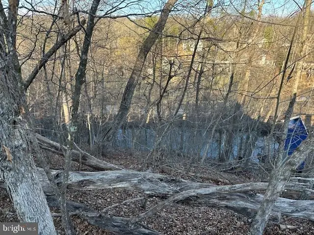 1231 Lakeview Dr, Cross Junction, VA 22625 - #2