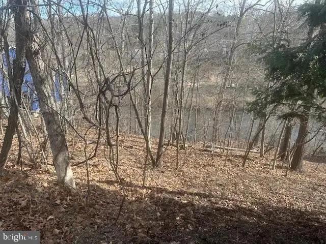 1235 Lakeview Dr, Cross Junction, VA 22625 - #3