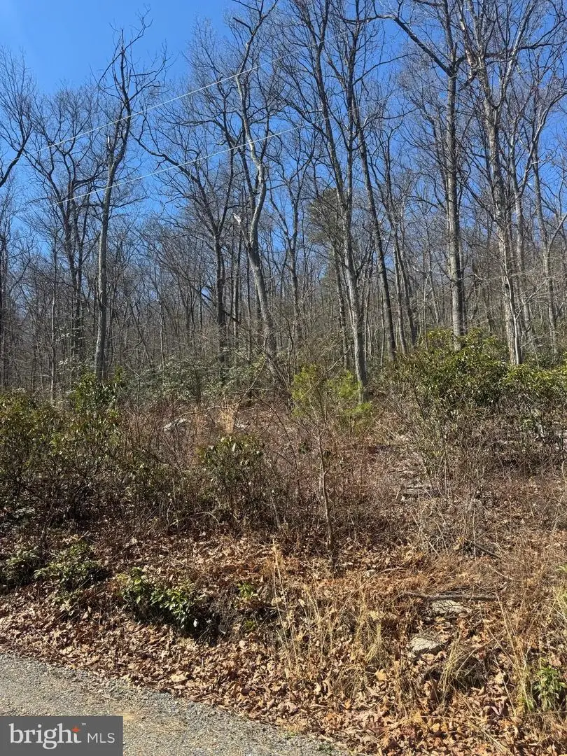 Fox Trl, Winchester, VA 22602 - #3