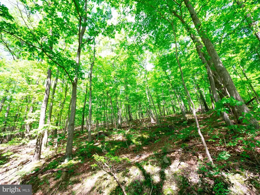 Lots 8 & 9 Elk Trl, Winchester, VA 22602 - #2