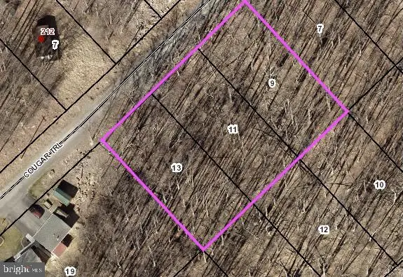 Lot 9, 11, 13 Cougar Trail, Winchester, VA 22602 - #1