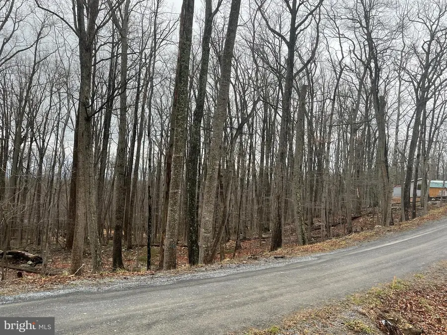 Lot 9, 11, 13 Cougar Trail, Winchester, VA 22602 - #3