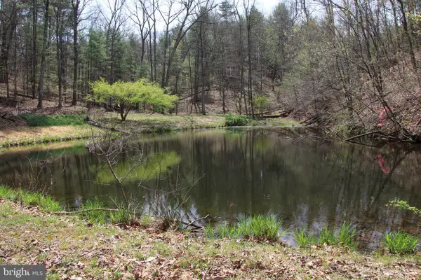 Hodges Lot 13 Ln, WINCHESTER, VA 22603