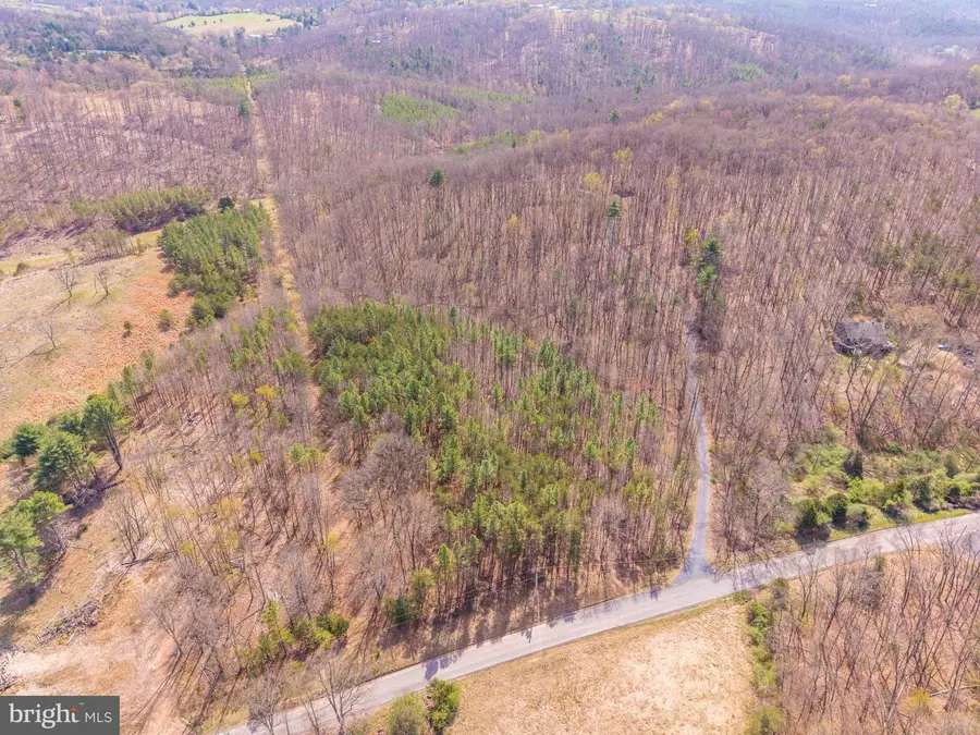 980 Adams Rd, Winchester, VA 22603 - #2