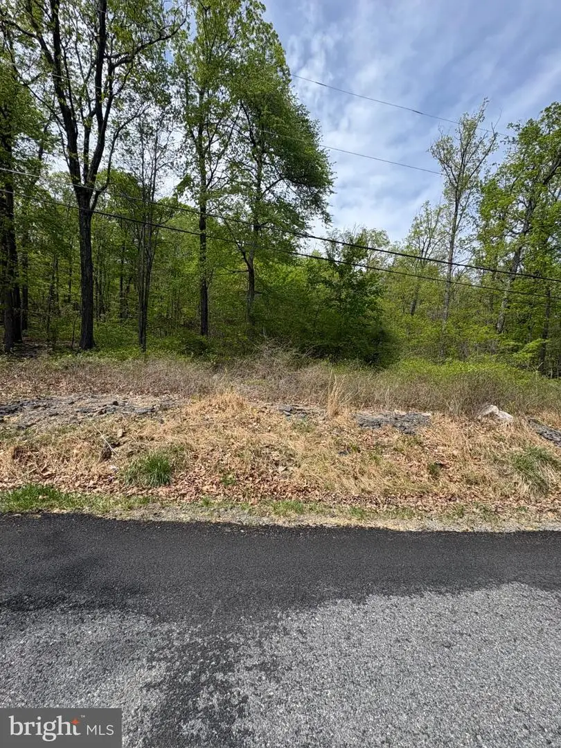Lot 38 Huron Trl, Winchester, VA 22602 - #1