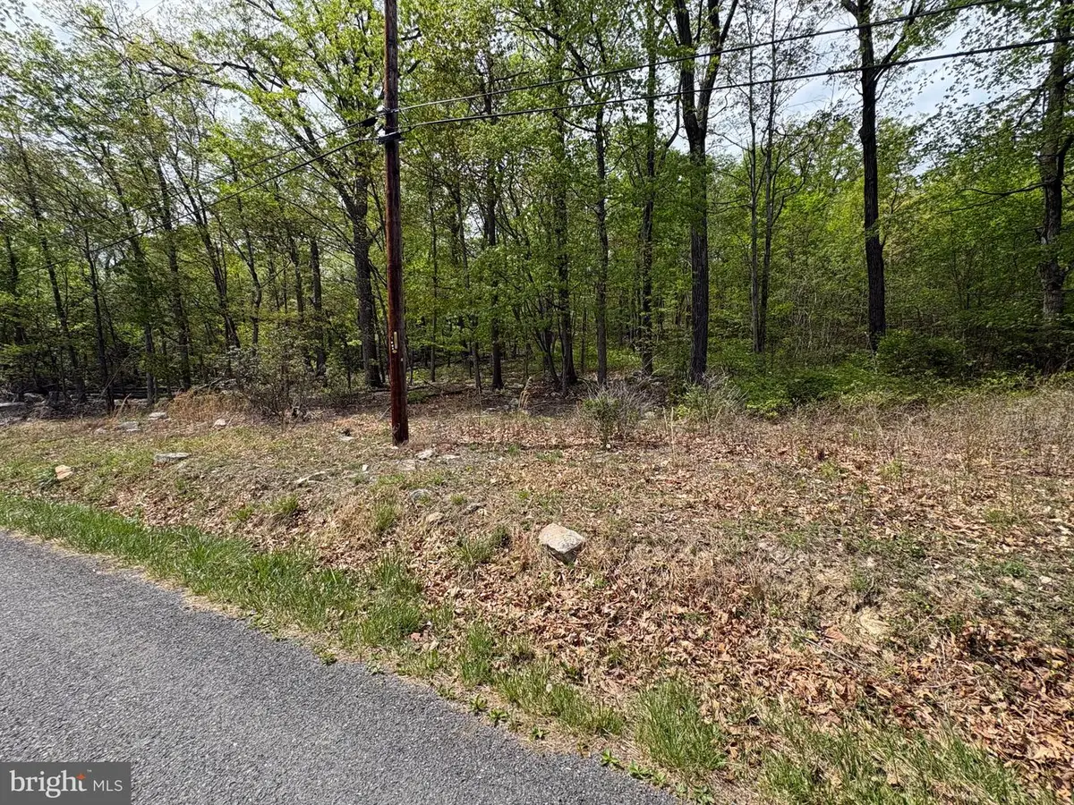 Lot 35a Huron Trl, Winchester, VA 22602 - #1
