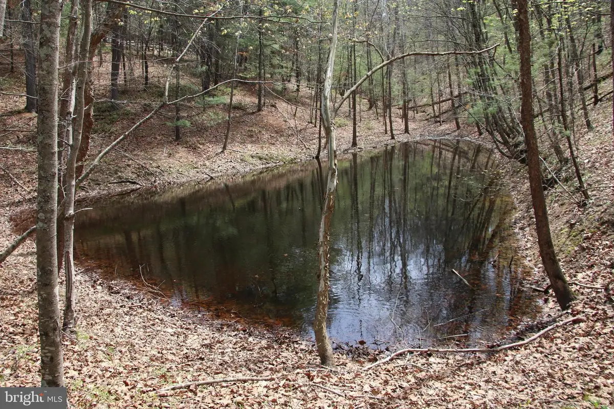 Hodges Lot 14 Ln, Winchester, VA 22603 - #1