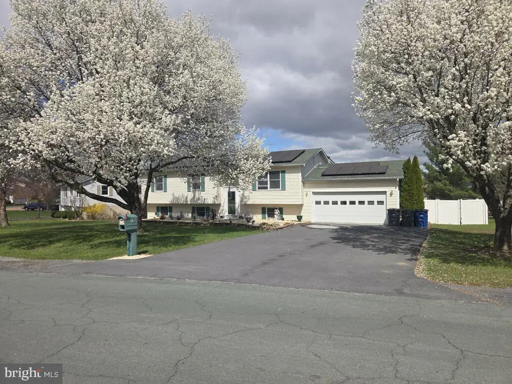 132 Nightingale Ave, Stephens City, VA 22655 - #1