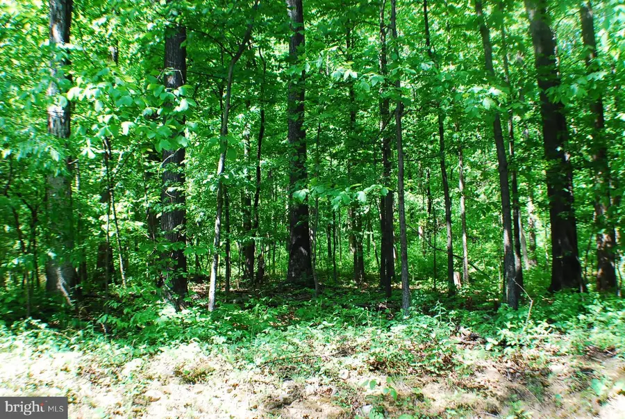 Lot 153 Babbs Mountain Rd, Winchester, VA 22603 - #3