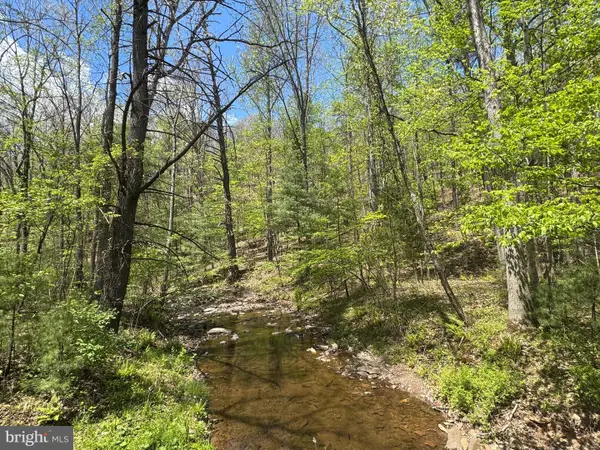 0 Shockeysville Road, WINCHESTER, VA 22603