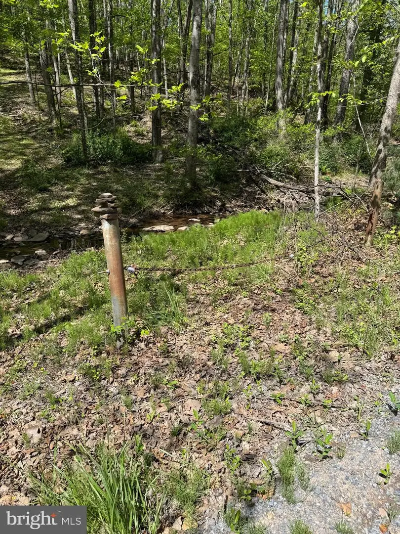 0 Shockeysville Road, Winchester, VA 22603 - #2