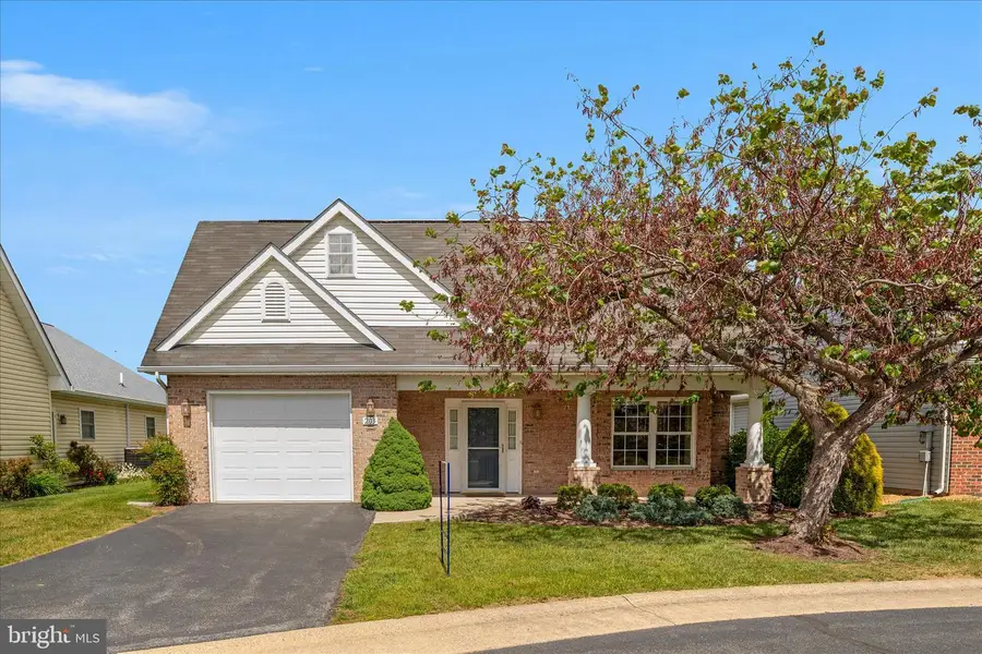 203 Cranberry Ct, Winchester, VA 22602 - #2