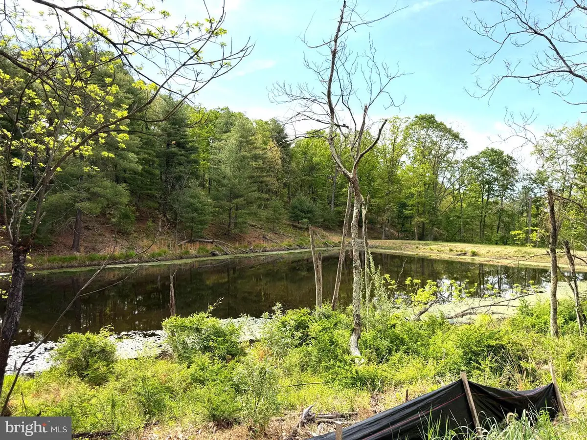 Lot 1 Crested Mountain Ln, Cross Junction, VA 22625 - #1