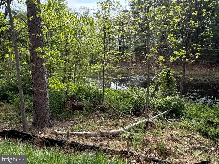 Lot 2 Crested Mountain Ln, Cross Junction, VA 22625 - #2