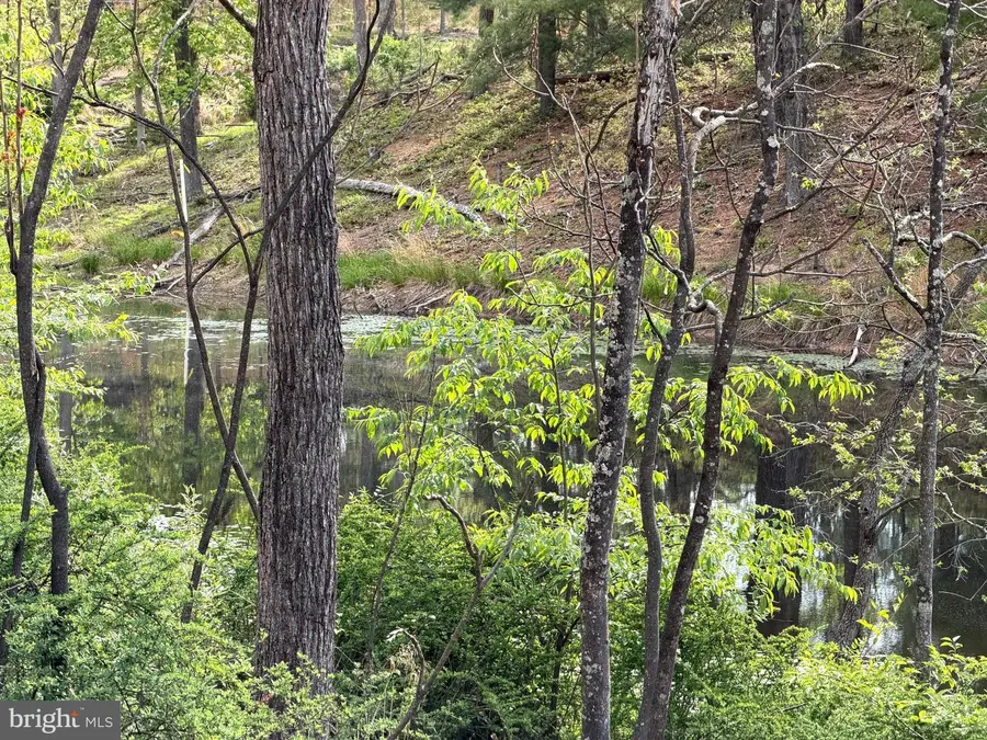 Lot 2 Crested Mountain Ln, Cross Junction, VA 22625 - #3