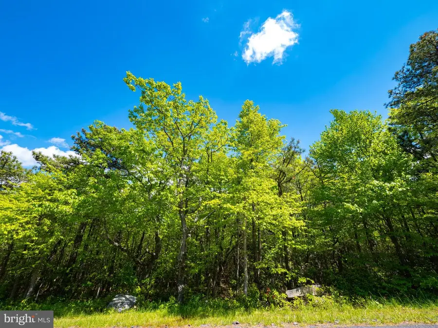 Lot 315a Timber Ridge Trl, Winchester, VA 22602 - #2
