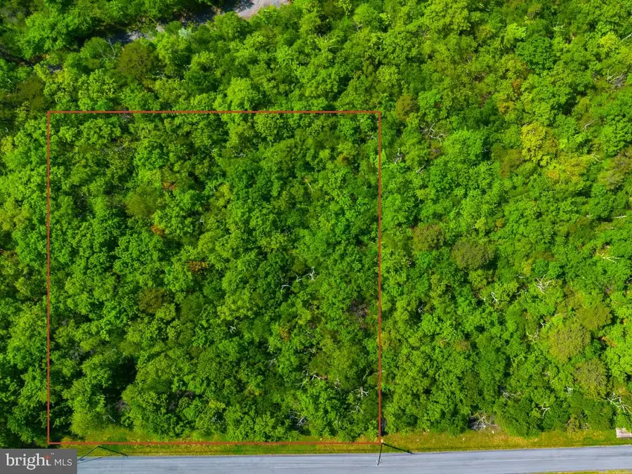 Lot 14a Timber Ridge Trl, Winchester, VA 22602 - #2