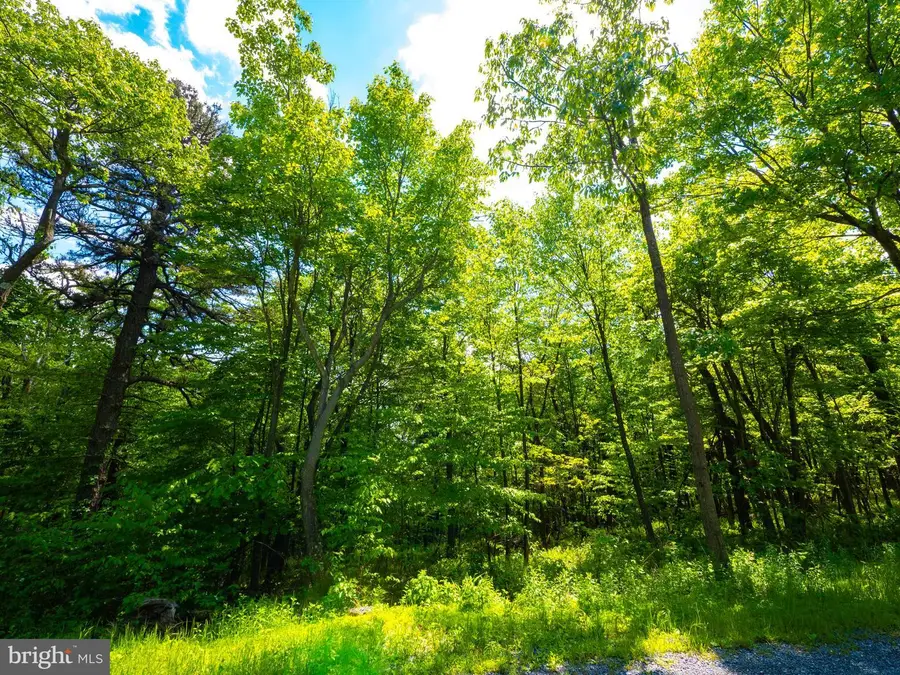 Lot 181 Rockwood Trl, Winchester, VA 22602 - #3