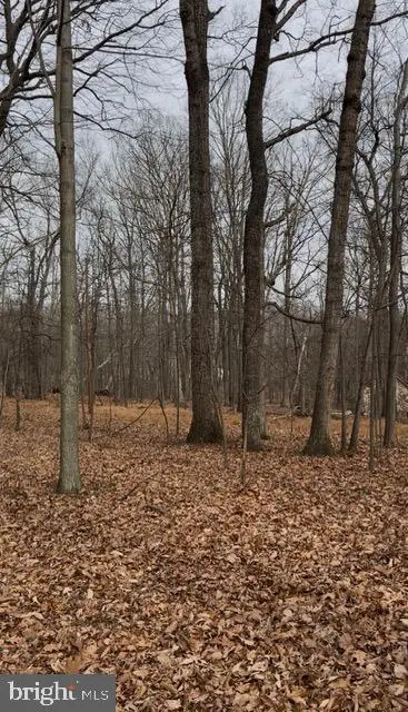 Winding Ridge Ln #lot 10, Winchester, VA 22603 - #1