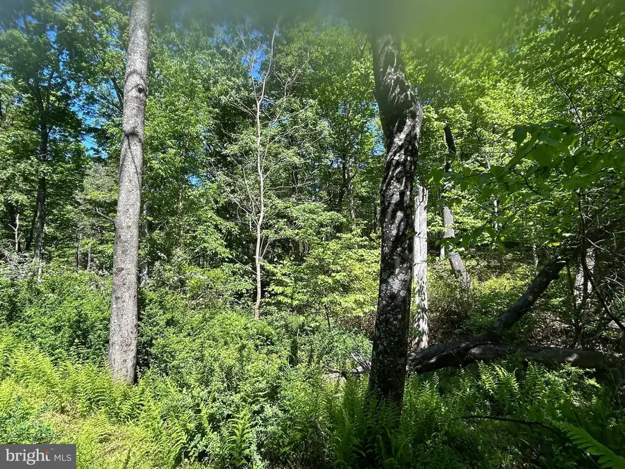 S South Timber Ridge Road, Cross Junction, VA 22625 - #3