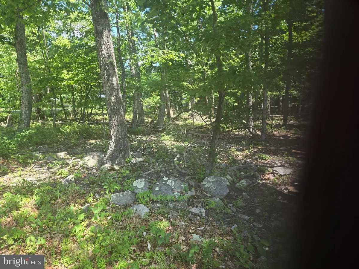 0 Tonto, Winchester, VA 22602 - #1