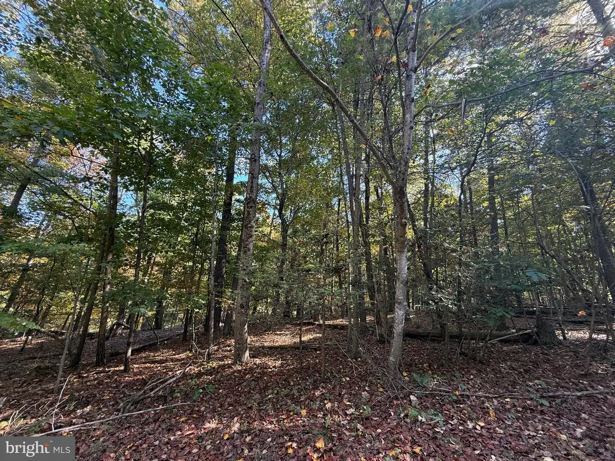 102 Southwood, Cross Junction, VA 22625 - #1