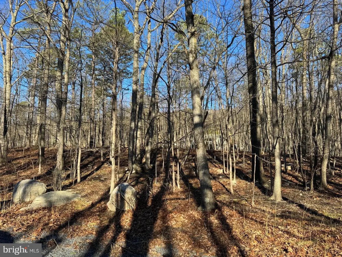Lot 11 Pheasant Dr, Winchester, VA 22602 - #1