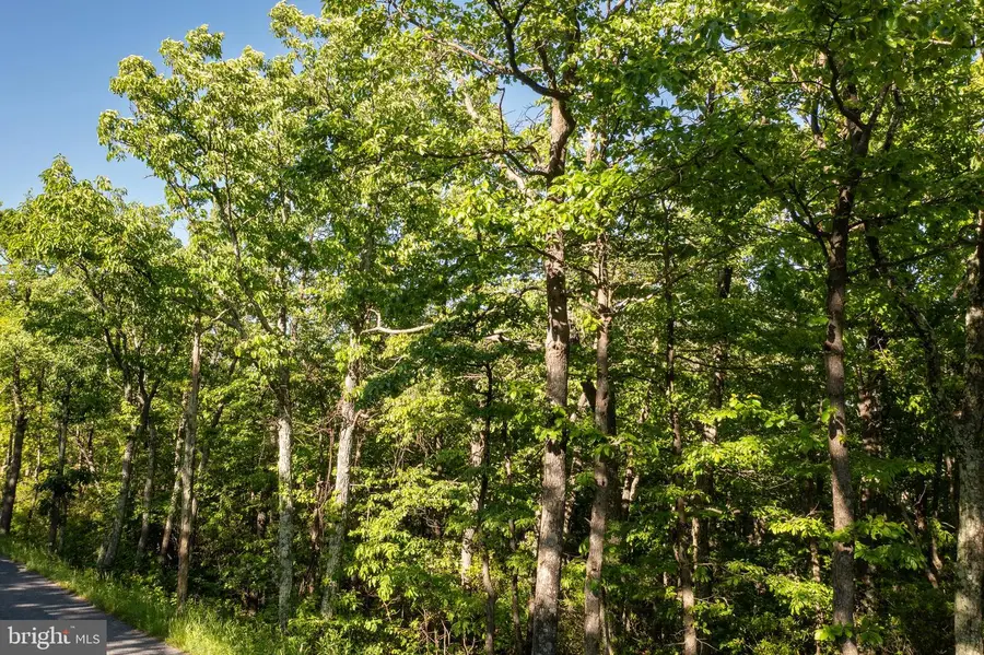 Lot 342 Archwood Trl, Winchester, VA 22602 - #3