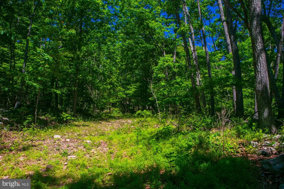 Lot 37 Poplar Trl, Winchester, VA 22602 - #1