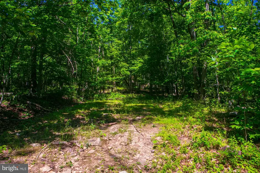 Lot 37 Poplar Trl, Winchester, VA 22602 - #2