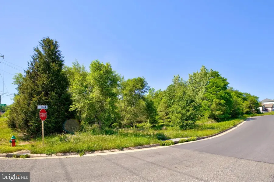 0 N Frederick, Winchester, VA 22603 - #2