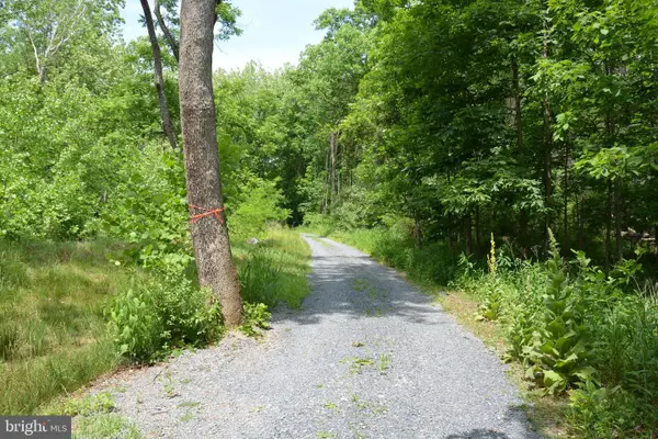 Two Lots On Siler Rd, WINCHESTER, VA 22603